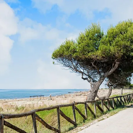 In A Shared With Garden Apartamento