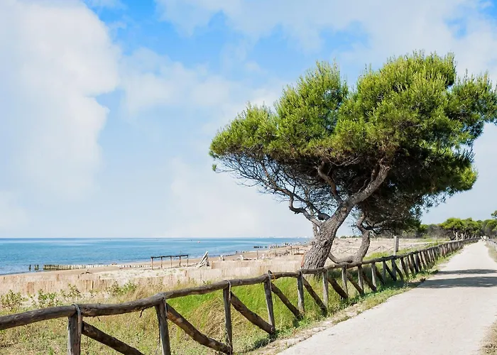 In A Shared With Garden Daire